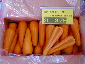 紅蘿蔔(進出口蔬菜)-2L