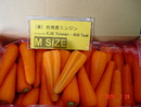 紅蘿蔔(進出口蔬菜)-M