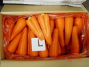 紅蘿蔔(進出口蔬菜)-L