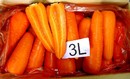 紅蘿蔔(進出口蔬菜)-3L