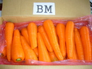 紅蘿蔔(進出口蔬菜)-BM