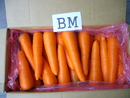紅蘿蔔(進出口蔬菜)-BM